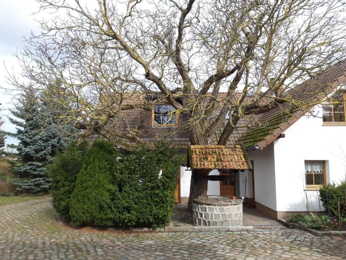 Ein Bett im Kornfeld - Haus Morgensonne - mit Innenpool Schonfeld  Exterior foto