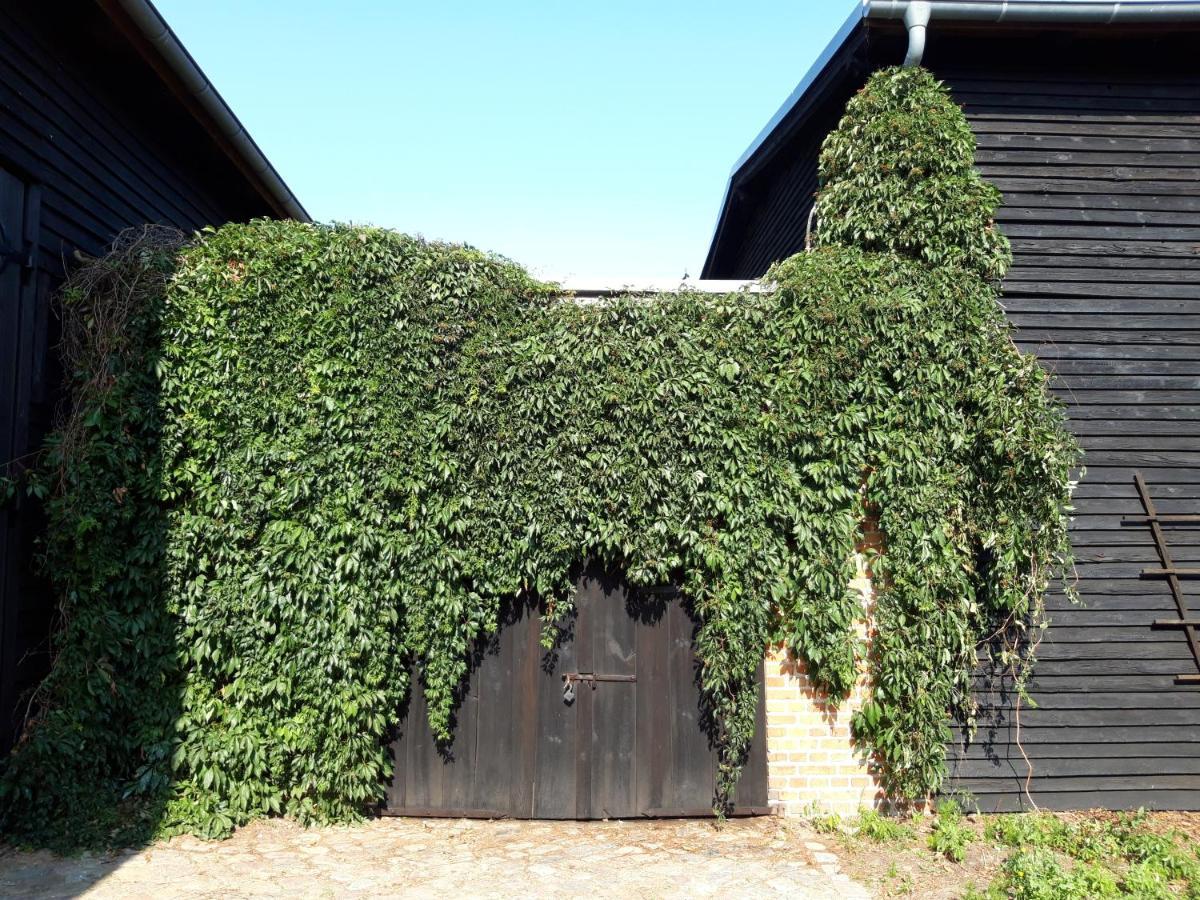Ein Bett im Kornfeld - Haus Morgensonne - mit Innenpool Schonfeld  Exterior foto