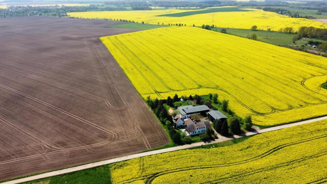 Ein Bett im Kornfeld - Haus Morgensonne - mit Innenpool Schonfeld  Exterior foto