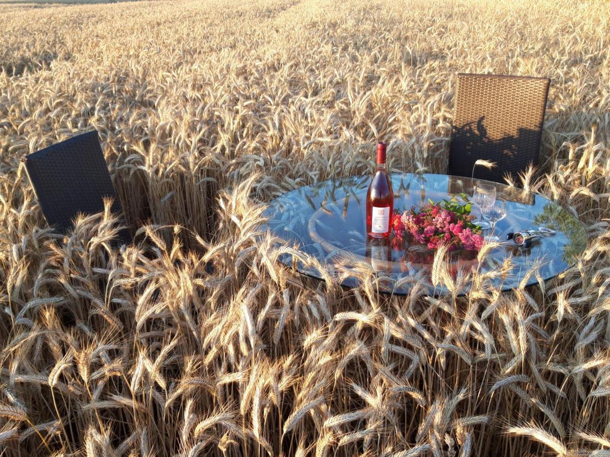 Ein Bett im Kornfeld - Haus Morgensonne - mit Innenpool Schonfeld  Exterior foto