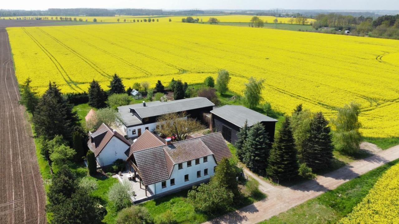 Ein Bett im Kornfeld - Haus Morgensonne - mit Innenpool Schonfeld  Exterior foto